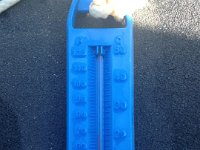 Pool thermometer